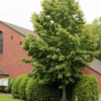 Slider Kirche Üdding (c) H. Brouwers